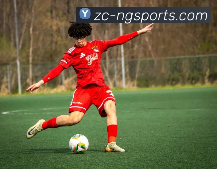 ng娱乐服务体系